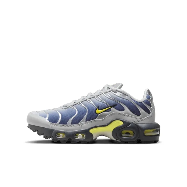 Nike Tuned Unisex Shoes - Silver