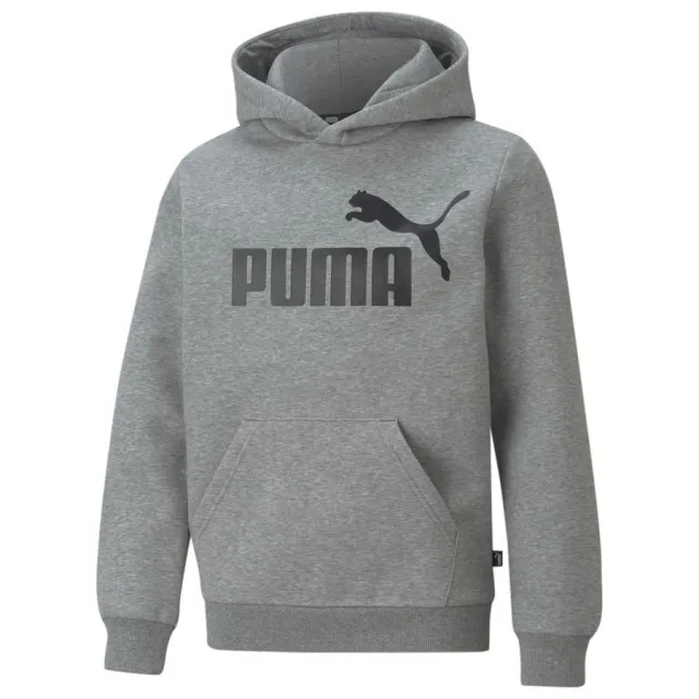 Puma Childrens Unisex Essentials Big Logo Youth Hoodie - Grey