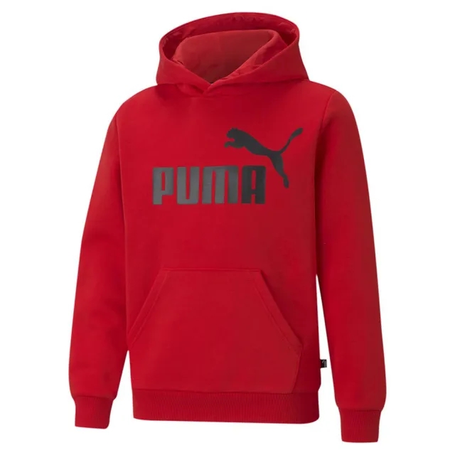 Puma Essential Big Logo Hoodie