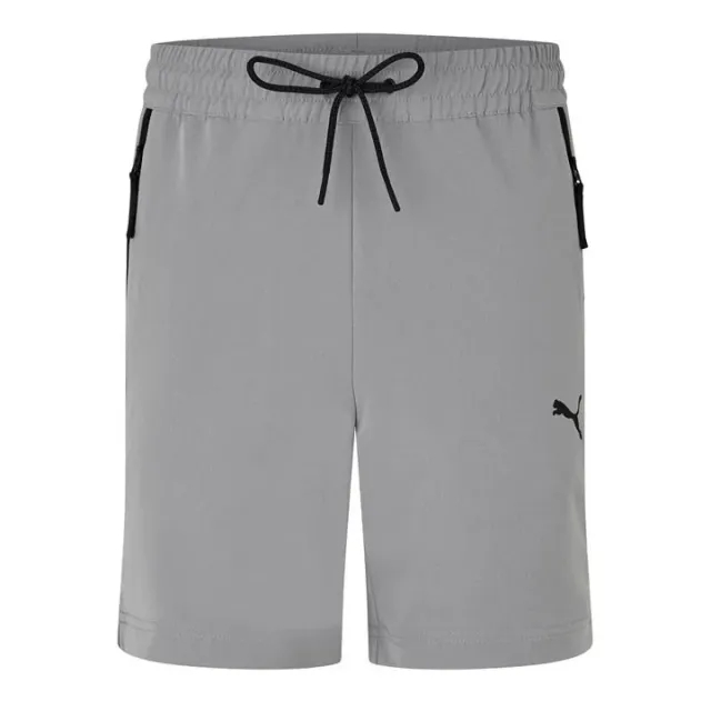 Puma Mens tech Shorts - Grey
