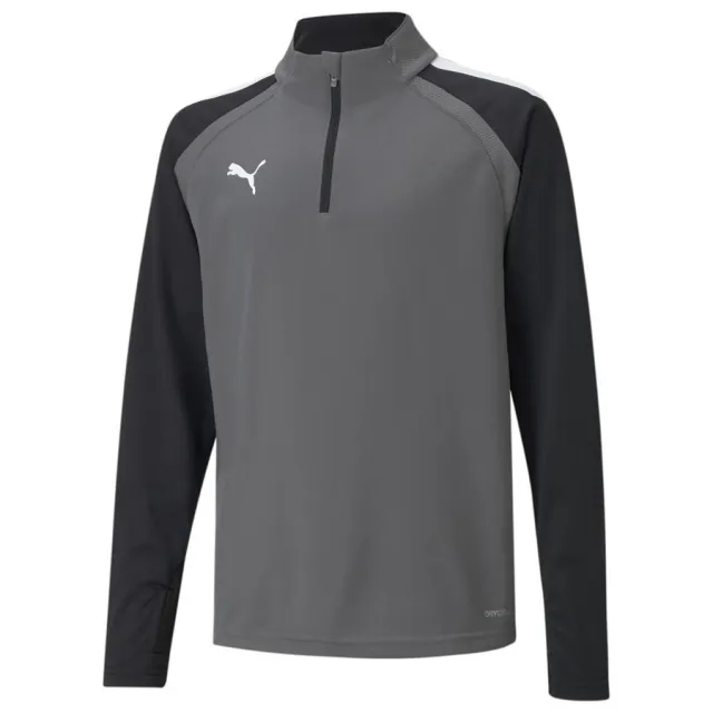 Puma Teamliga 1/4 Zip Top Junior - ['Grey']
