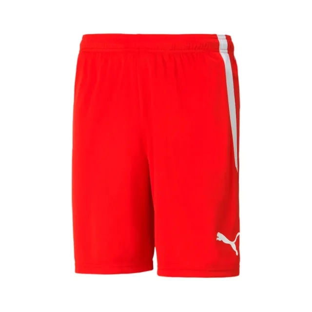 Puma teamLIGA Shorts
