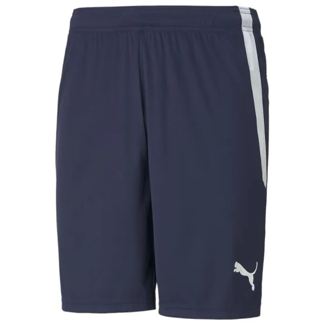 Puma Mens teamLIGA Football Shorts - Blue