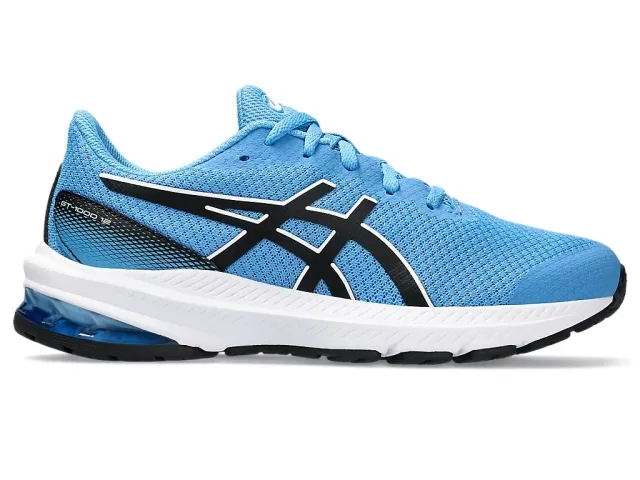 Asics Gt-1000 12 Gs Running Shoes  - Blue