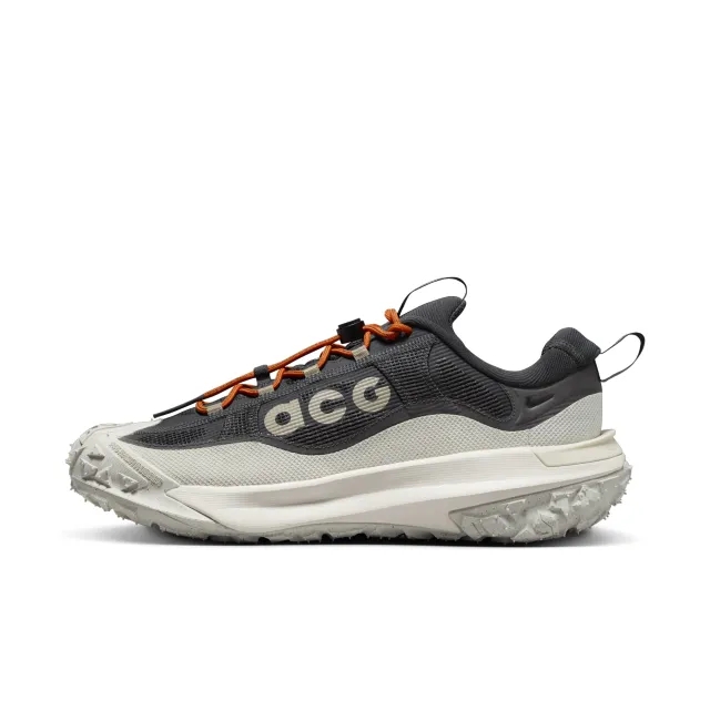 Nike ACG Mountain Fly 2 Low GORE-TEX Men's Shoes - Grey