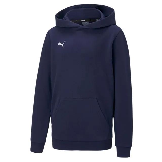Puma Junior teamGOAL 23 Casuals Hoodie