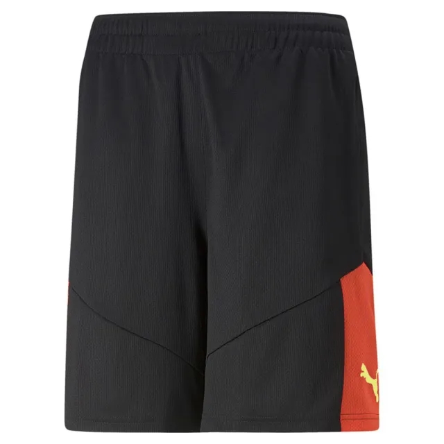 Puma Training Shorts Individualfinal - ['Black']