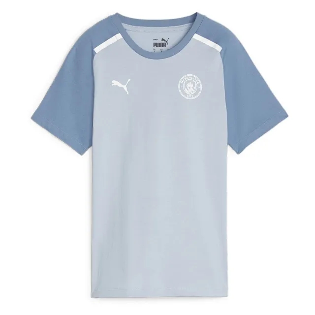 Puma Mens Manchester City Football Casuals T-Shirt - Blue