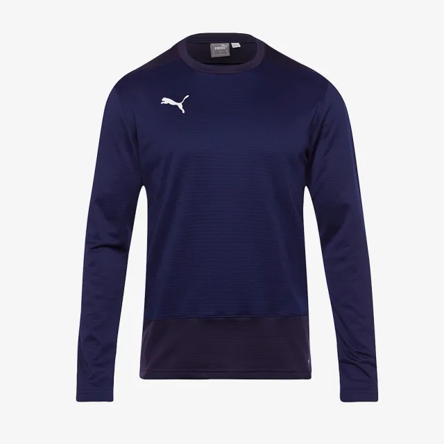 Puma teamGOAL 23 Training Sweatshirt