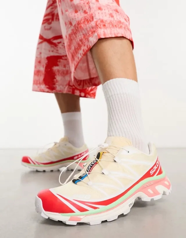 Salomon Xt-6