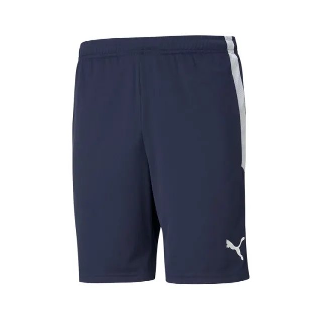 Puma teamLIGA Zip Pocket Training Shorts