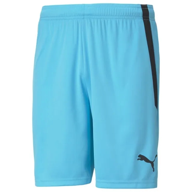 Puma teamLIGA Shorts