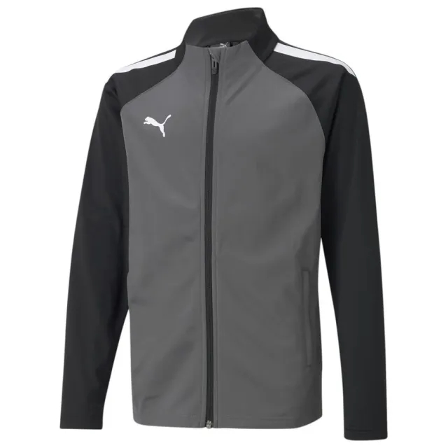 Puma Teamliga Training Jacket Junior - ['Grey']