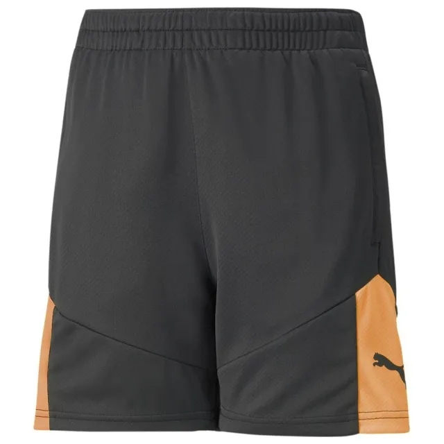 Puma Training Shorts Individualfinal - ['Black']