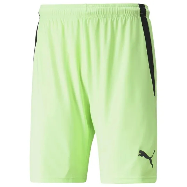 Puma teamLIGA Shorts