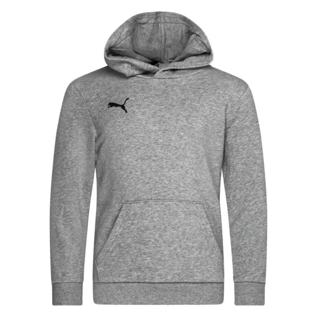 Puma Junior teamGOAL 23 Casuals Hoodie