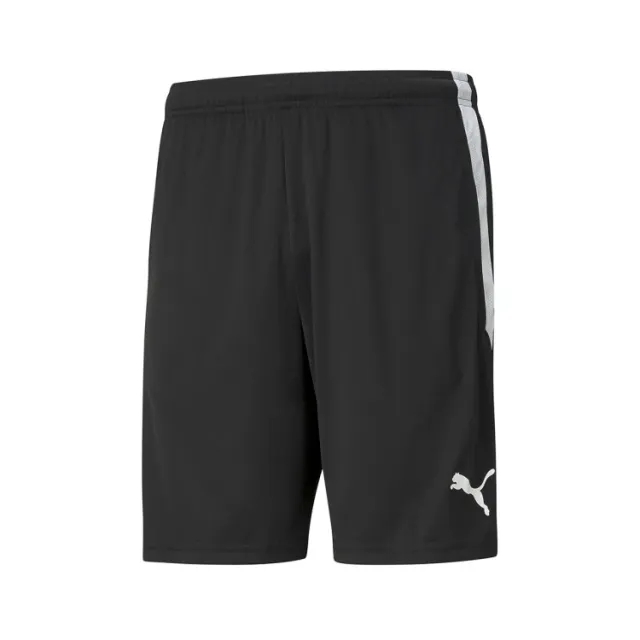 Puma teamLIGA Zip Pocket Training Shorts