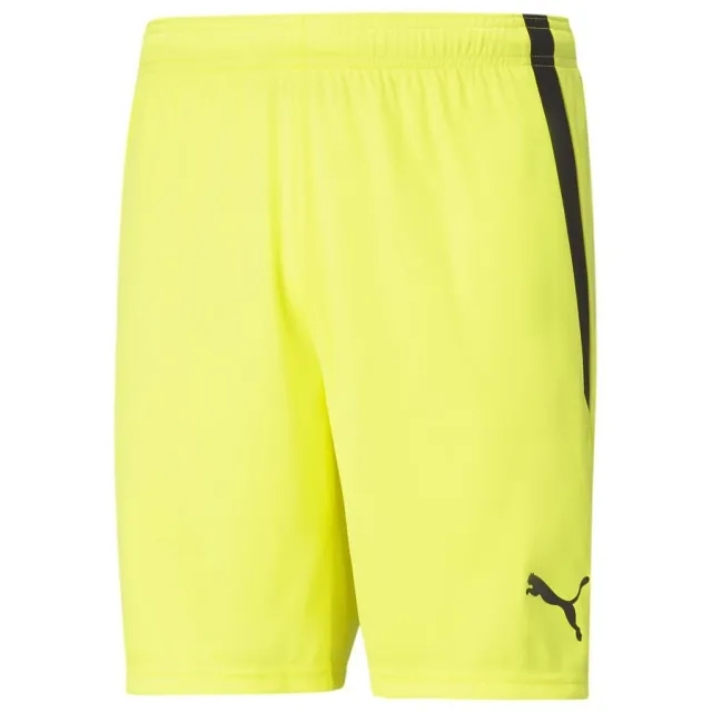 Puma teamLIGA Shorts