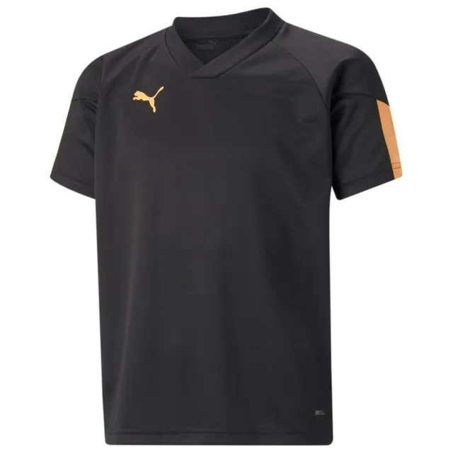 Puma Training T-Shirt Individualfinal - ['Black']