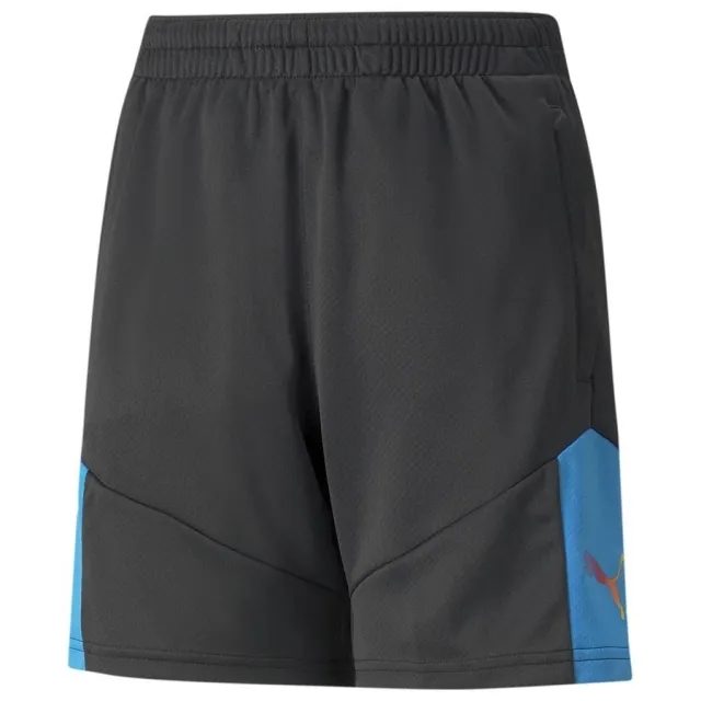 Puma Training Shorts Individualfinal - ['Black']