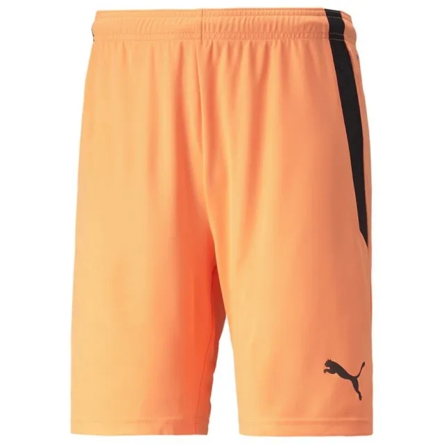 Puma teamLIGA Shorts