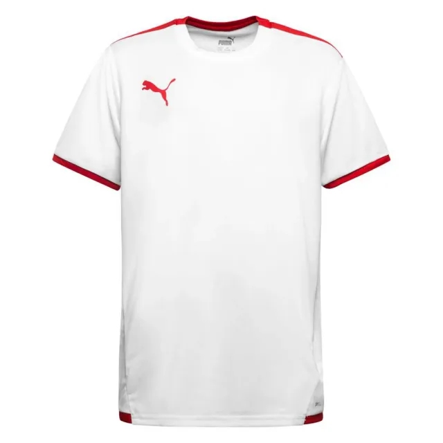 Puma Playershirt Teamliga - ['White']