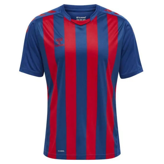 Hummel Core Xk Striped Short Sleeve T-shirt  - Multicolor