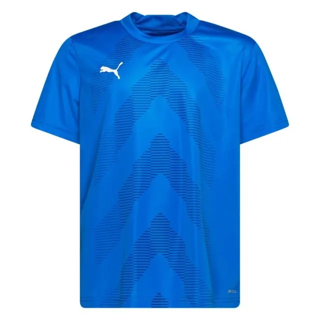 Puma Playershirt Teamglory - ['Blue']