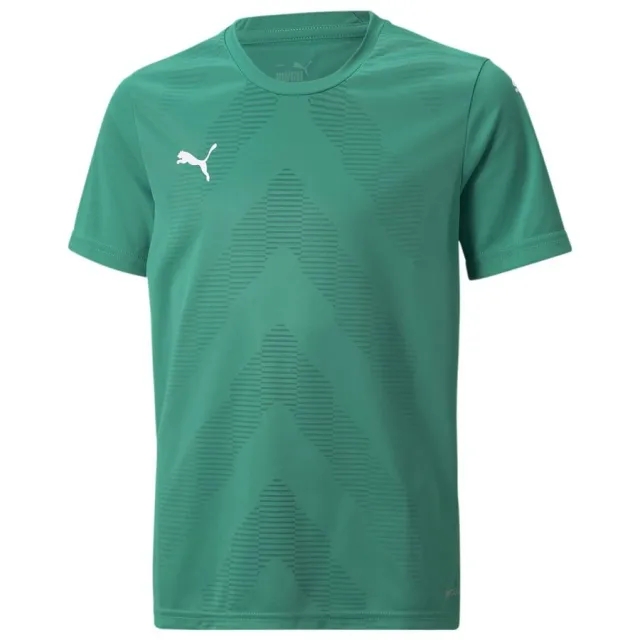 Puma Playershirt Teamglory - ['Green']
