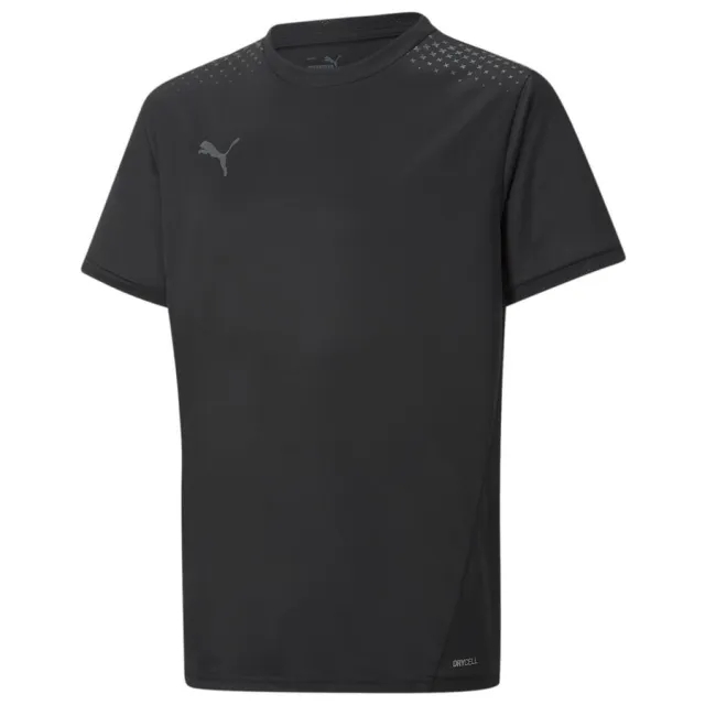 Puma Training T-Shirt Individualliga Warm - ['Black']
