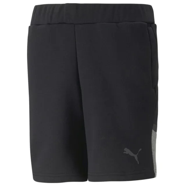 Puma Shorts Teamcup Casuals - ['Black']