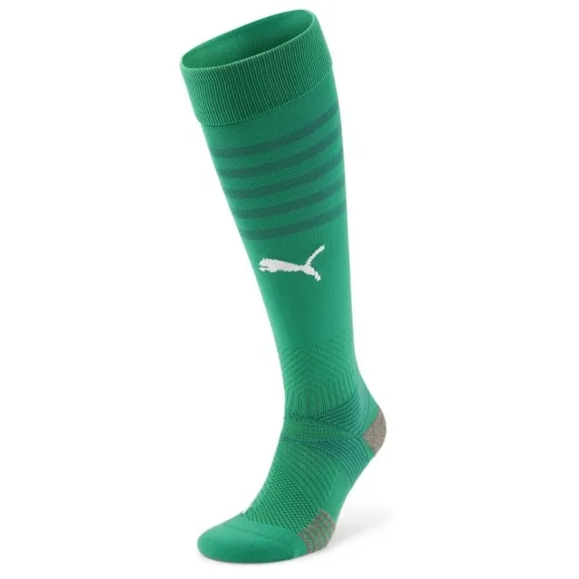 Puma teamFINAL Socks