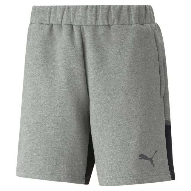 Puma Casual Teamcup Shorts  - Grey