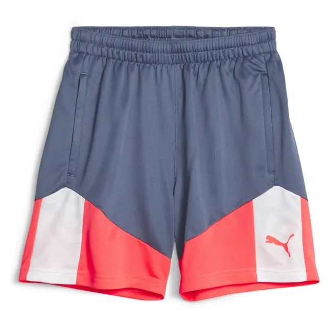 Puma Training Shorts Individualcup - ['Blue']
