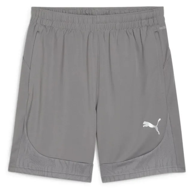 Teamfinal Training Shorts Cast Iron-Puma Silver - ['Grey']