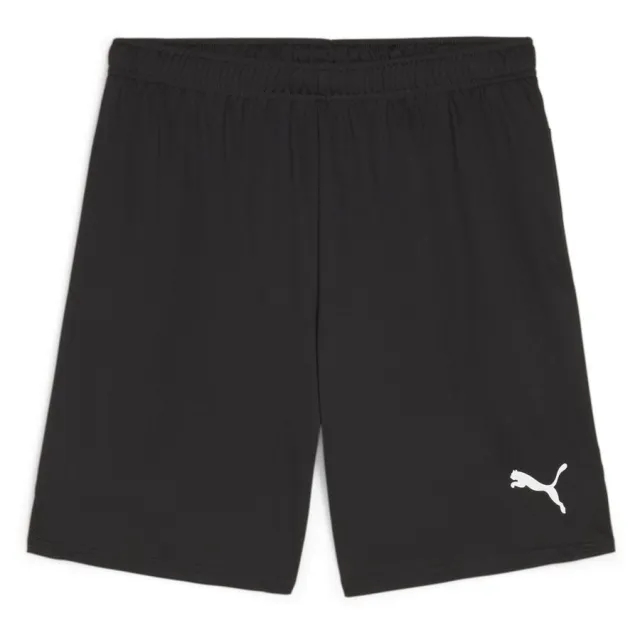 Puma teamGOAL 24 Shorts