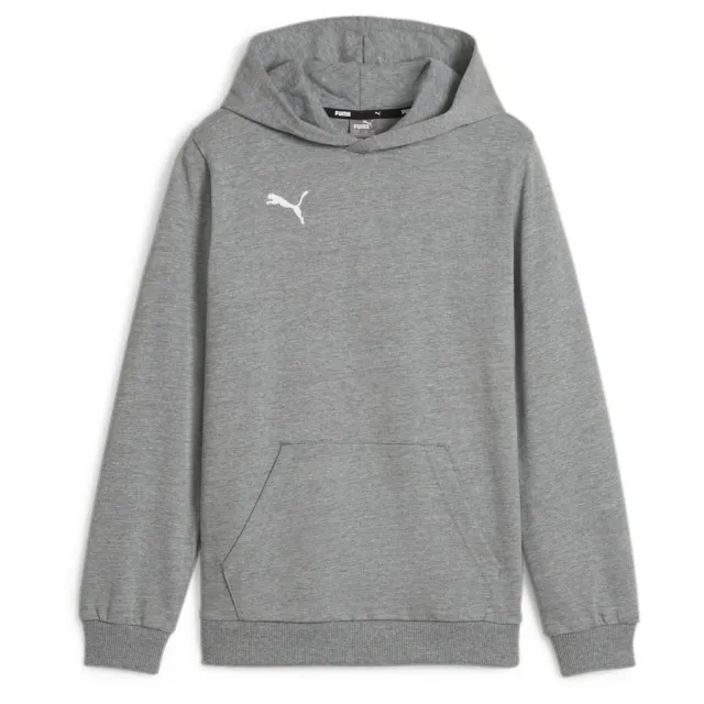 Puma Hoodie Teamgoal Casuals - ['Grey']