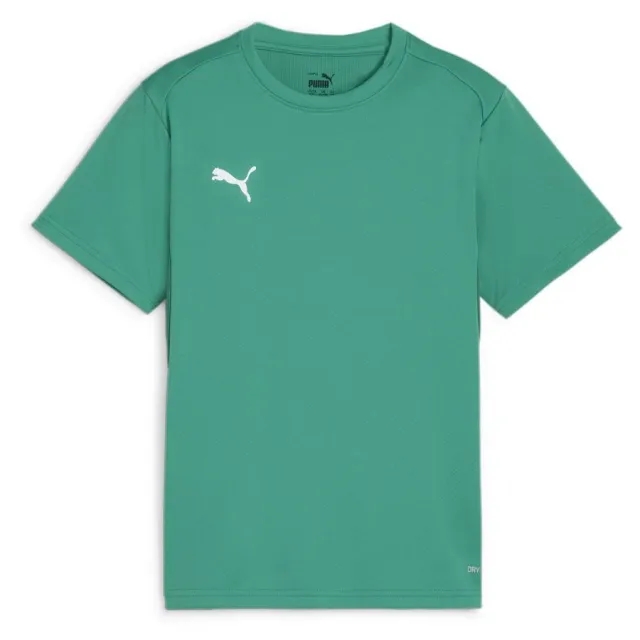Puma Training T-Shirt Teamgoal - ['Green']
