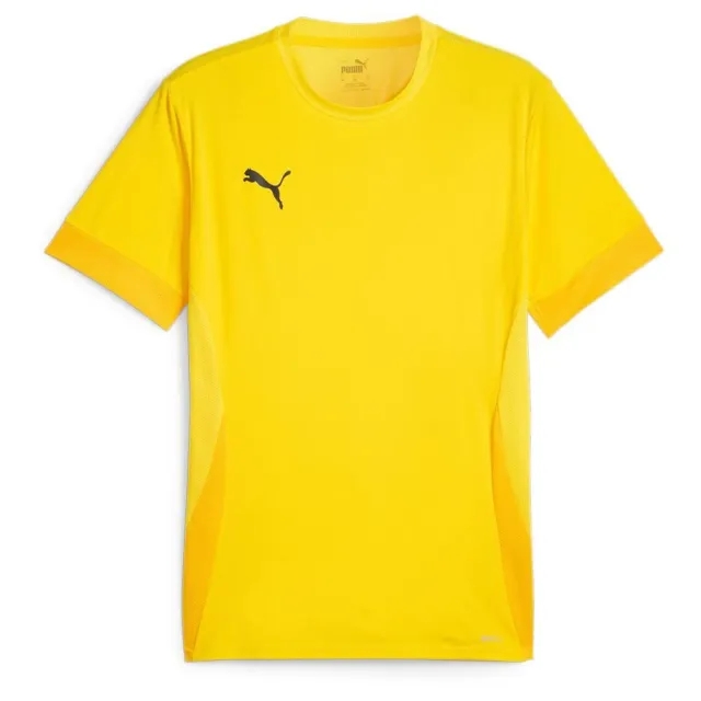 Puma teamGOAL 24 SS Shirt