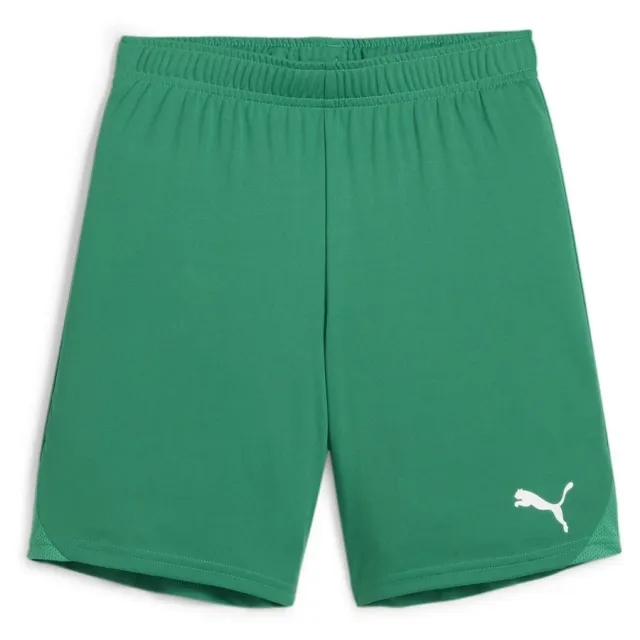 Puma Junior teamGOAL 24 Shorts