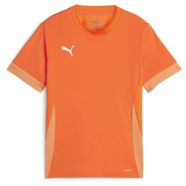 Puma Training T-Shirt Teamgoal - ['Orange']