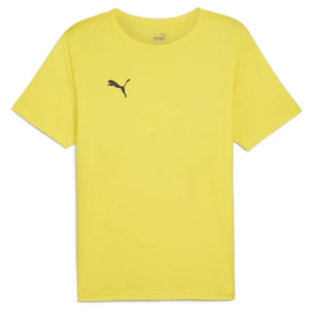 Puma teamRISE 24 SS Shirt