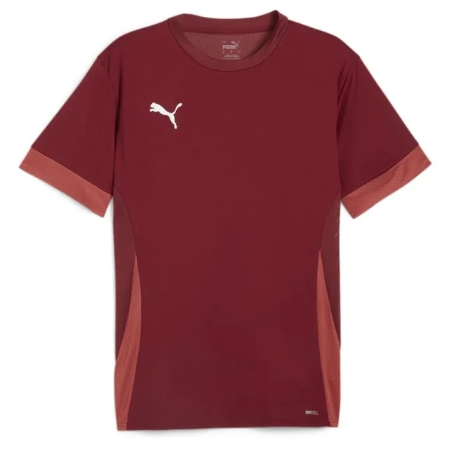 Puma teamGOAL 24 SS Shirt