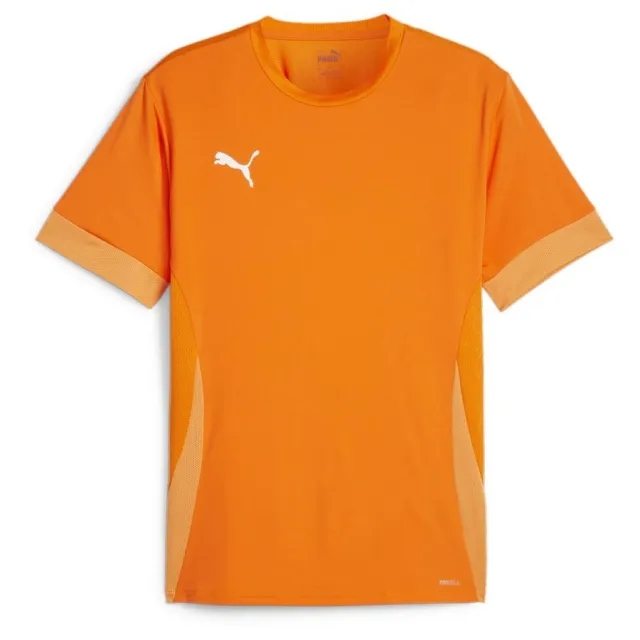 Puma teamGOAL 24 SS Shirt