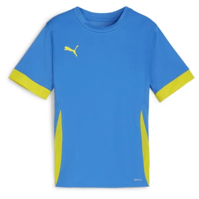 Puma Training T-Shirt Teamgoal - ['Blue', 'Yellow']