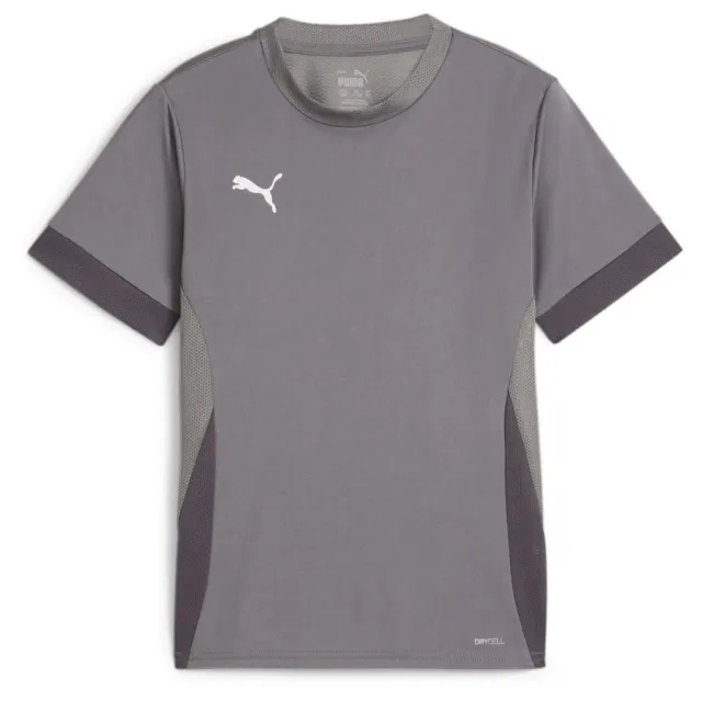 Puma Training T-Shirt Teamgoal - ['Grey']