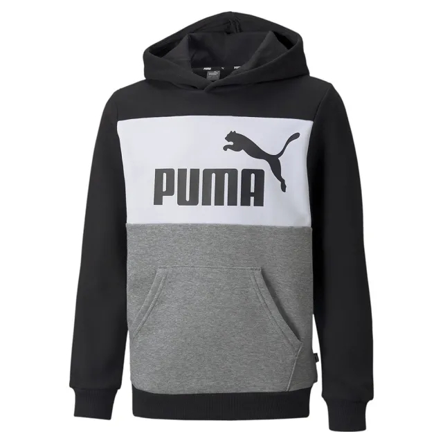 Puma Essentials+ Colorblock Fl Sweatshirt