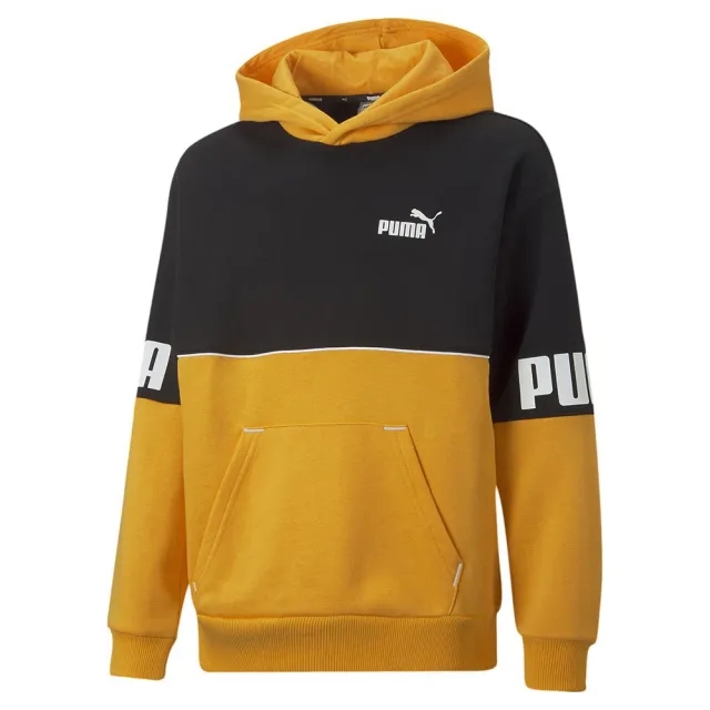 Puma Power Colorblock Fl Sweatshirt