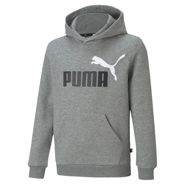 Puma Essentials+ 2 Col Big Logo Fl Sweatshirt