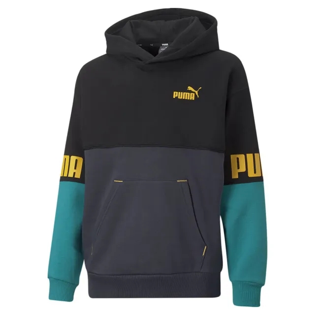 Puma Power Colorblock Fl Sweatshirt